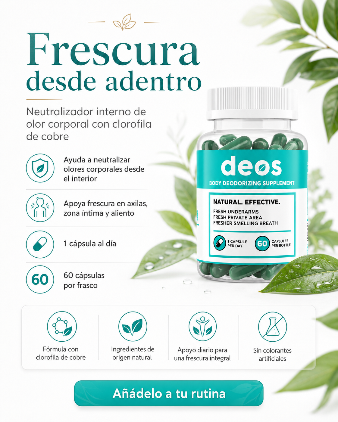DEOS® Suplemento Desodorante Interno (60 CÁPSULAS)